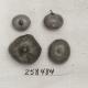 Click for 1 image(s) for this accession. FRUIT
